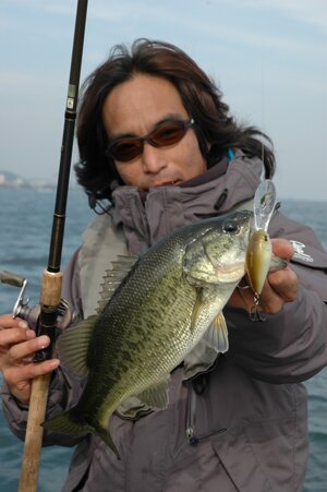 07biwako10263.jpg