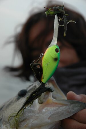 07biwako11272.jpg