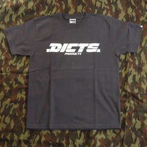 08#2dictsbs1.jpg