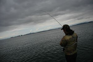 08biwako11106.jpg