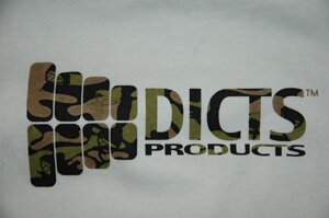 08camodictsr2.jpg
