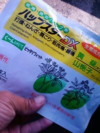 20080922084853.jpg