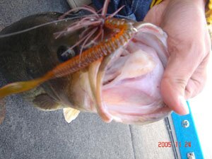 DSC03510-21.jpg