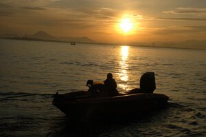 DSC_3950.jpg