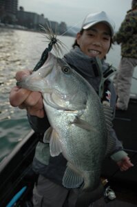 biwako2226.jpg
